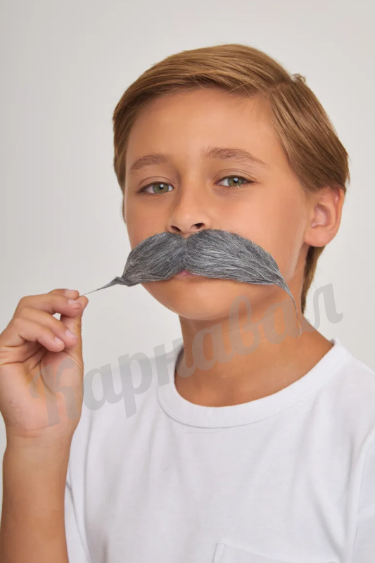 Усы  черные с сединой "Офицер"