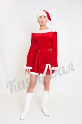 Санта Леди